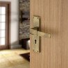 BUCKLER Zinc Alloy-4098-Silver 8 Inch Mortise Handle set-70MM Double Turn Bullet Lock  (Gold Antique)