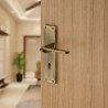 BUCKLER Zinc Alloy-4138-Gold Antique 8 Inch Mortise Handle set-70MM Double Turn Bullet Lock  (Gold Antique)