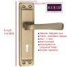 copy of copy of copy of copy of copy of copy of copy of copy of copy of copy of copy of S-GUARD Iron Mortise Handle Lock for Mai