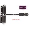 BUCKLER Door closer, Door Concealed for Wooden door