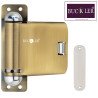 BUCKLER Door closer, Door Concealed for Wooden door,Pluto Antique