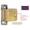 BUCKLER Door closer, Door Concealed for Wooden door,Pluto Antique