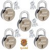 S-Guard Vision Laser Printed Door Lock, Lock for Gate-52MM-7 Levers, Double Locking,  Pack of 5 Padlock  (Silver-Gold)