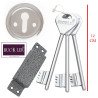 BUCKLER Iron Red Main Door Lock Set 100MM-8 Levers Double Turn,3 Keys, Heavy Duty Lock  (Silver)